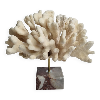 Antique White Coral on Marble Base, Height 18 cm
