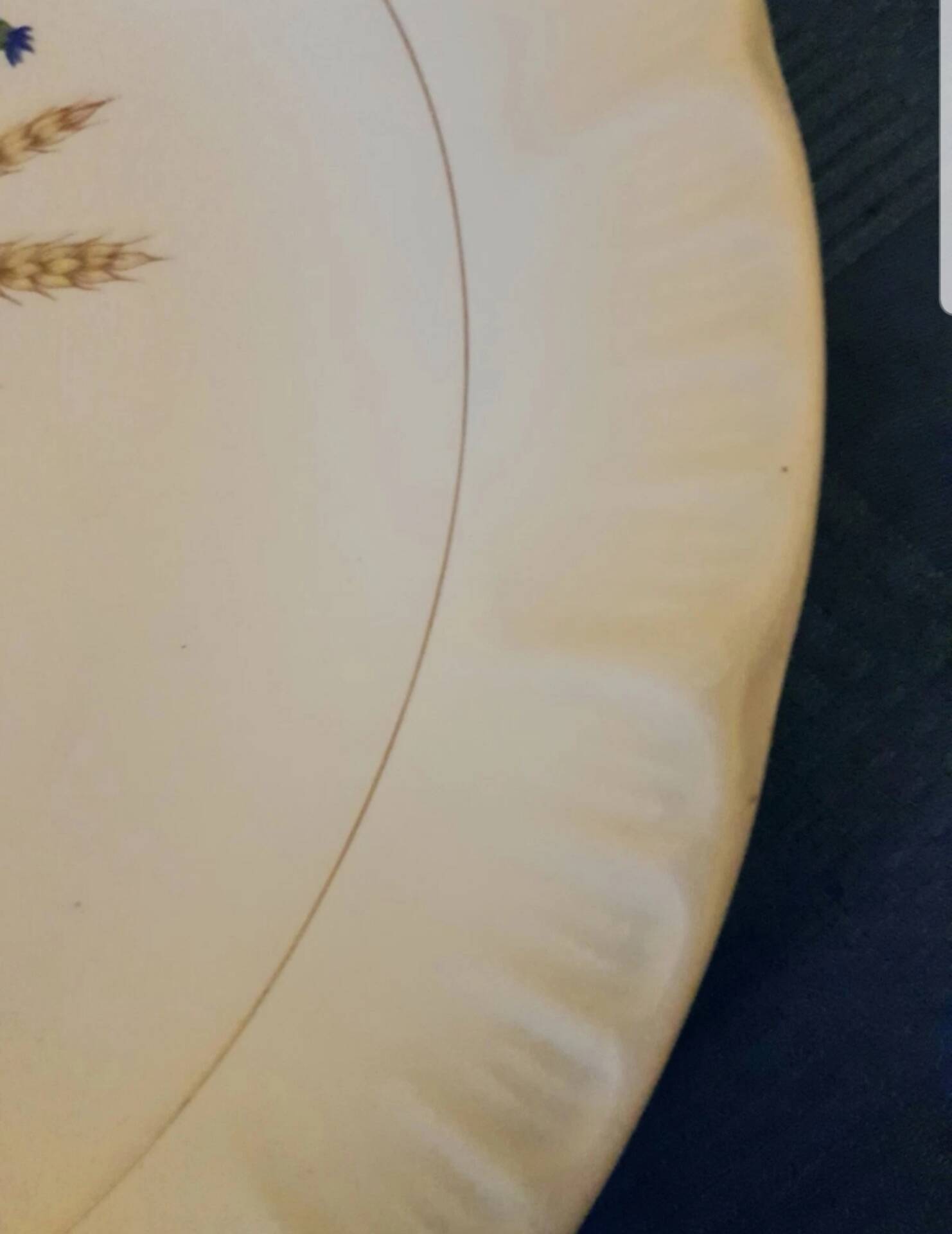 Large antique dish Sarreguemines Digoin, Agreste model