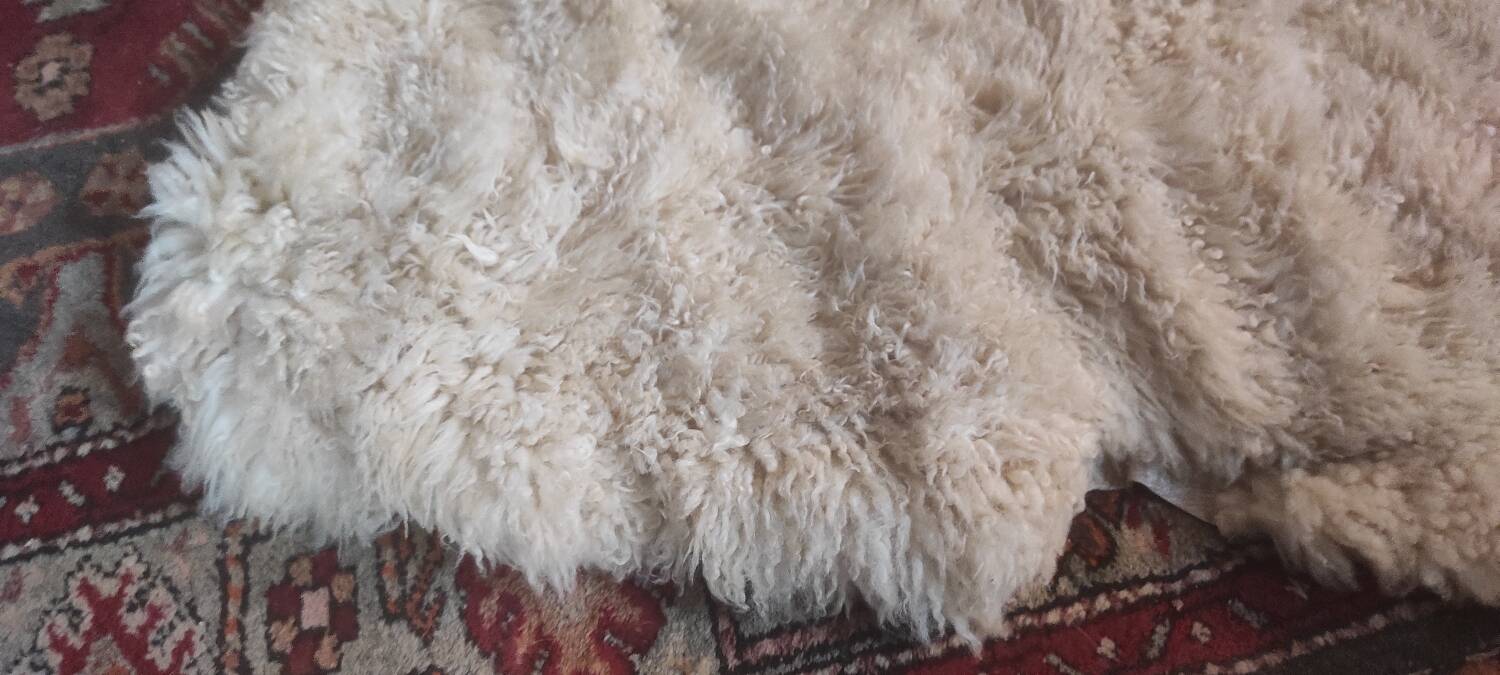 Peau de mouton