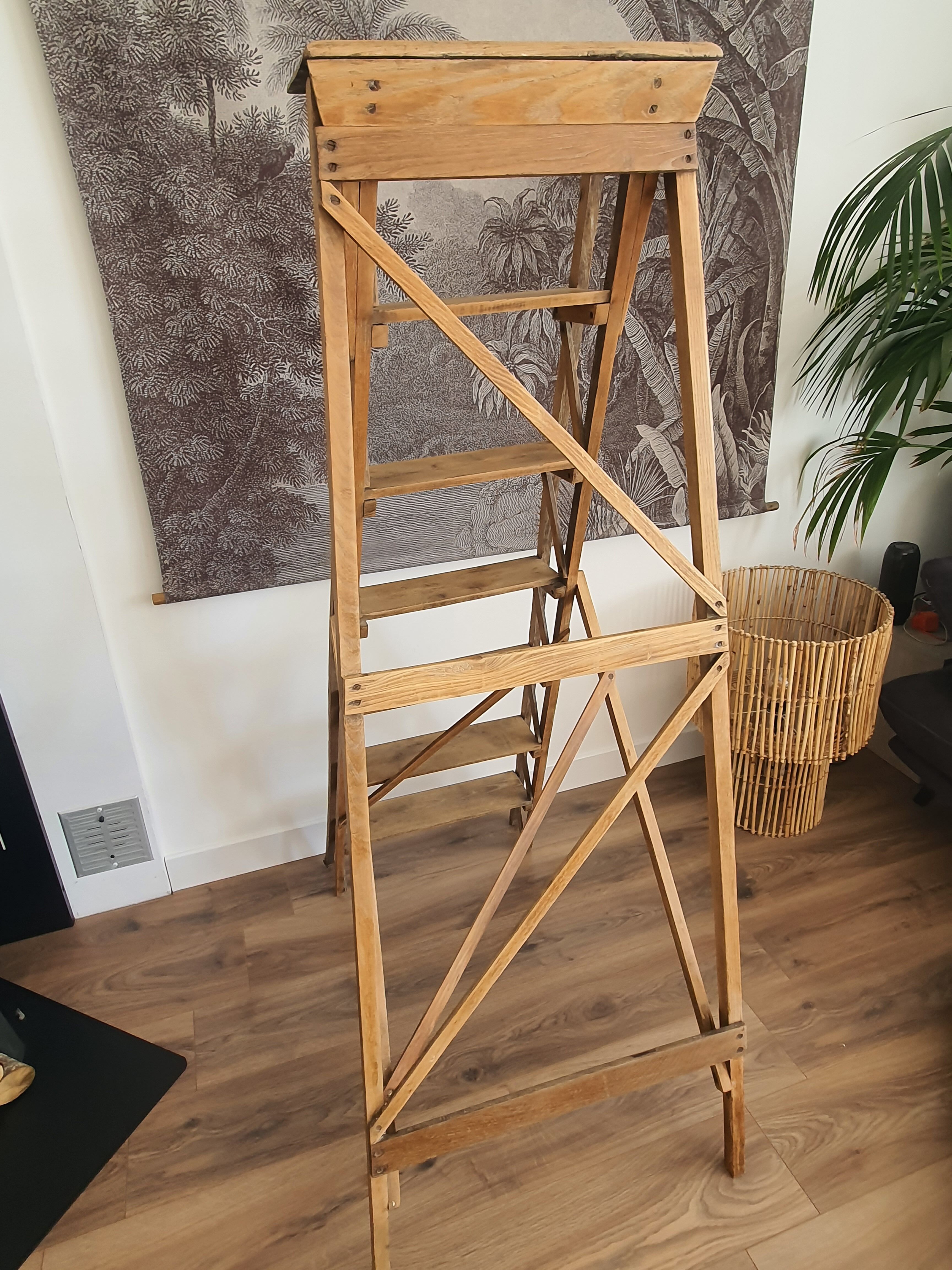 Old painter's stepladder