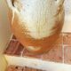 Wine jar in varnished stoneware 21 liters