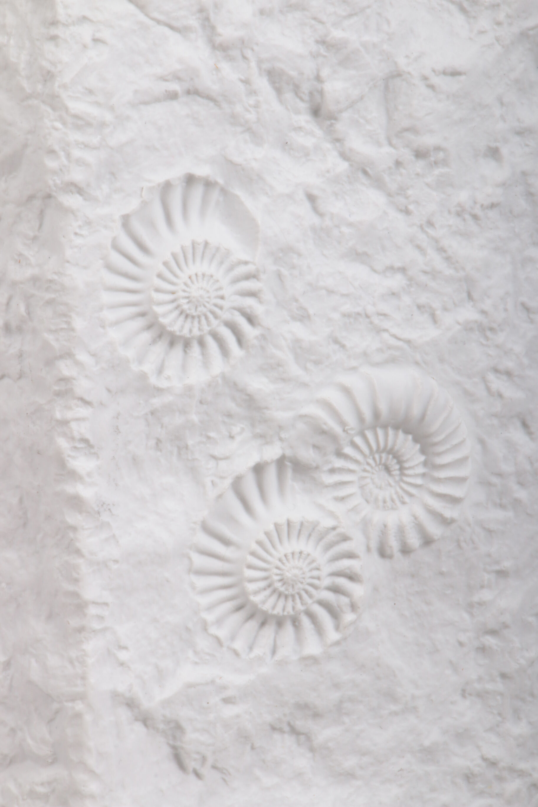 Large AK Kaiser porcelain vase with a white shell fossil pattern