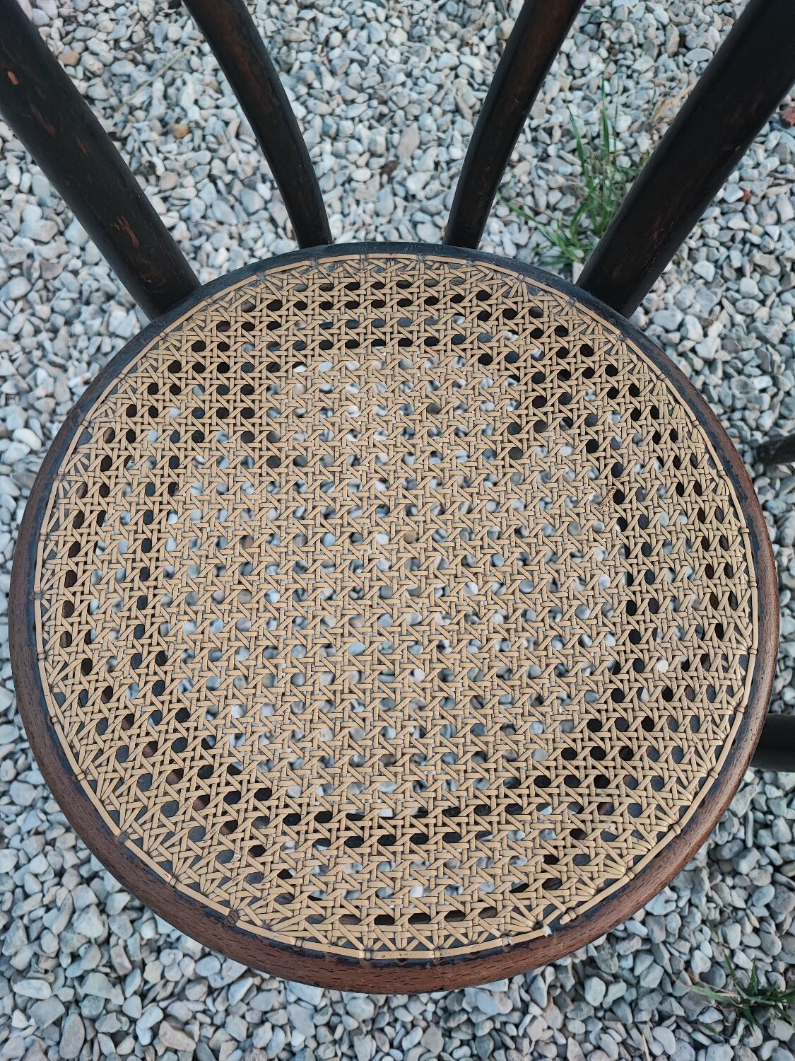 Duo de chaises cannées, Thonet Austria