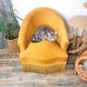 Ochre yellow velvet toad chair
