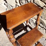 Old library stepladder