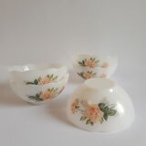 Set of 5 ramekins opaline Arcopal France roses 60s vintage