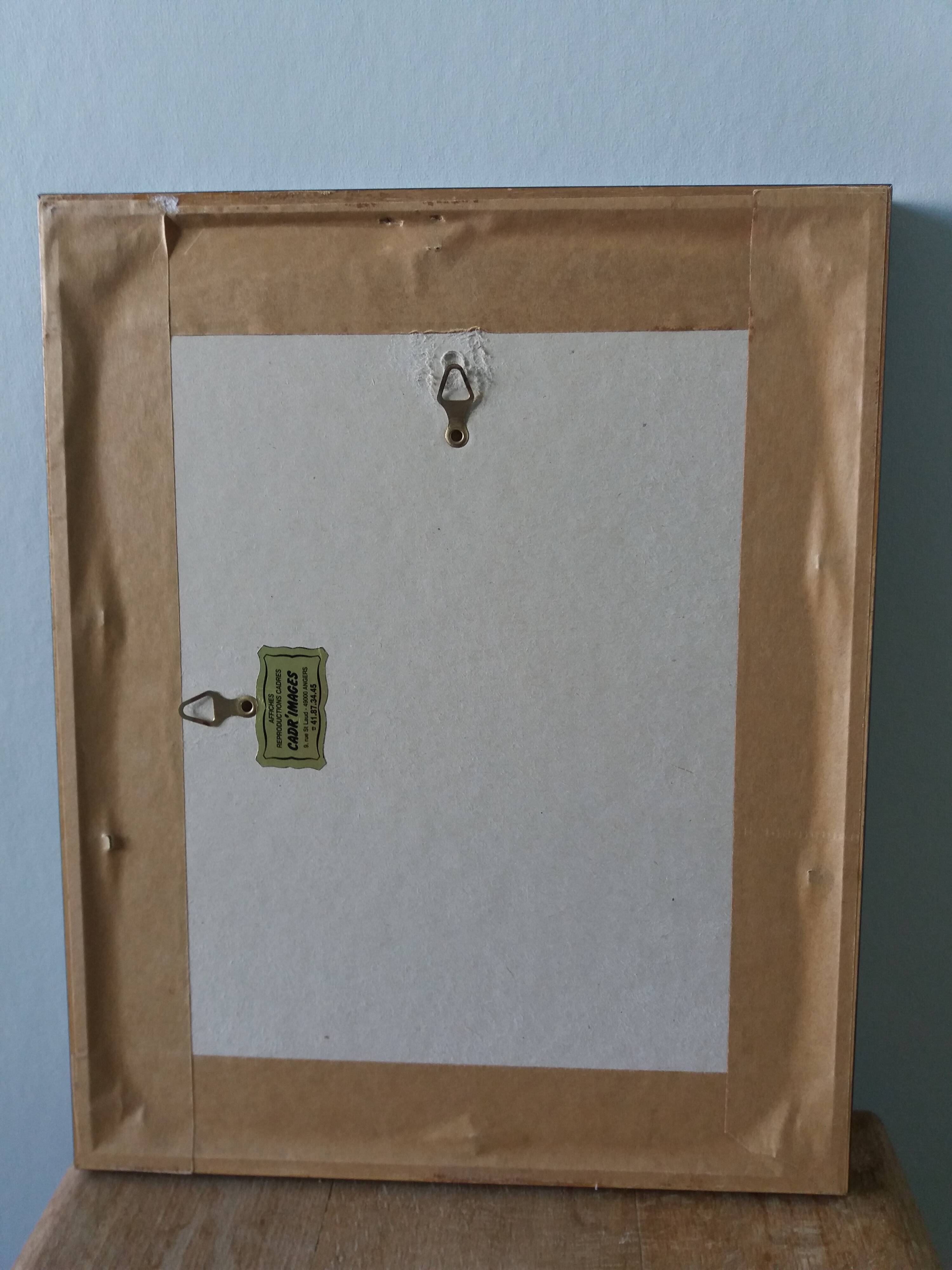 Framed botanical plate, flower illustration by Pierre Joseph Redouté