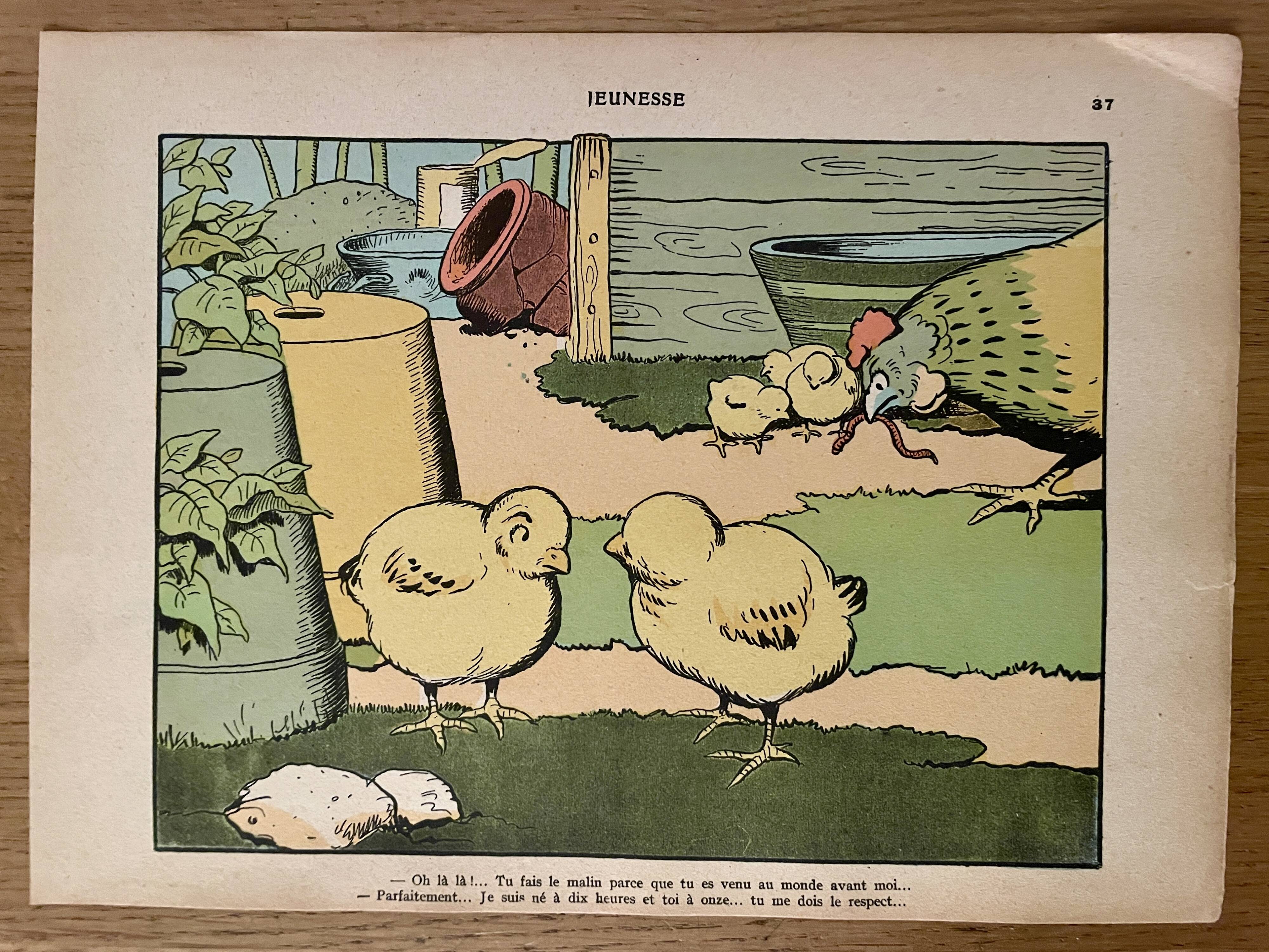 Old humorous satirical illustration of animals (chicks) - 1930