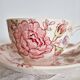 Tasse et sous-tasse , Johnson Brothers  modèle Rose Schintz . en excellent