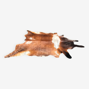 Old cow skin