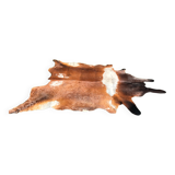 Old cow skin