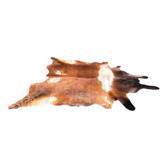 Old cow skin
