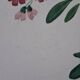 Old mismatched earthenware dinner plates