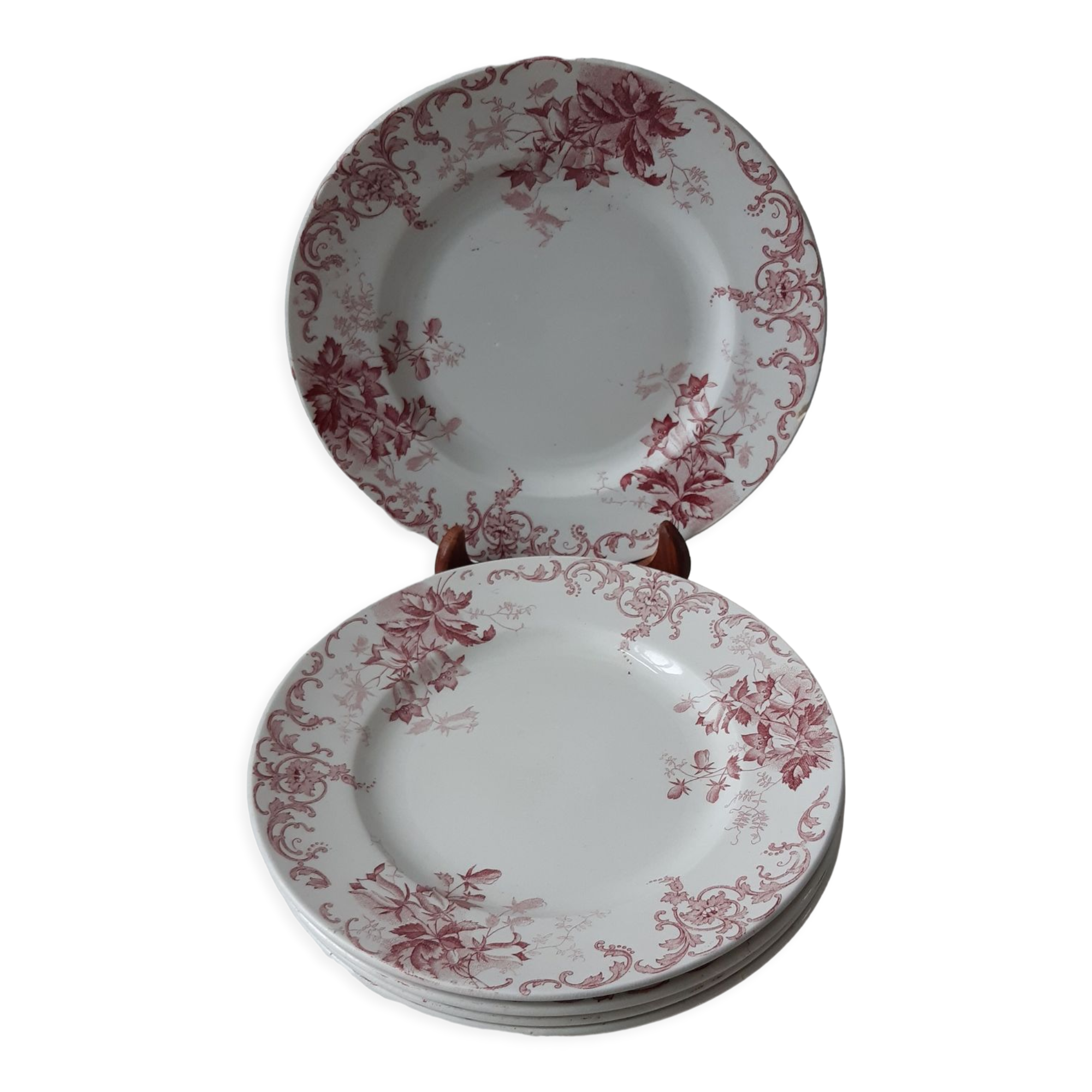 Set of 5 flat plates Terre de Fer St Amand model "Campanule" mid XIXth