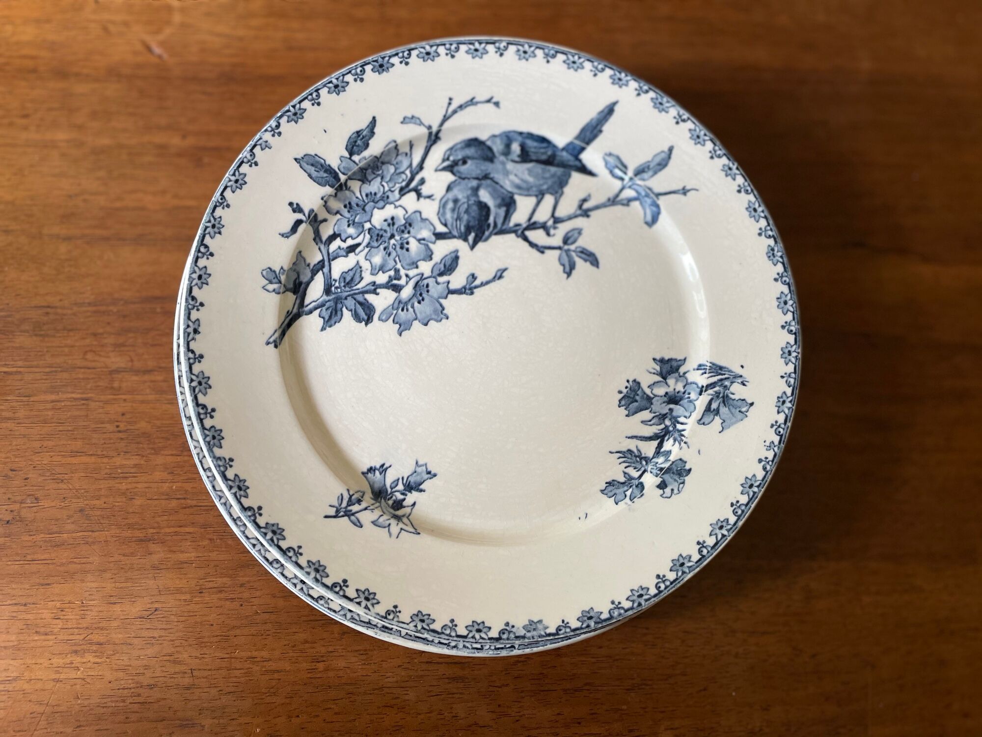 Flat plates Sarreguemines Terre de Fer model Blue Favorite