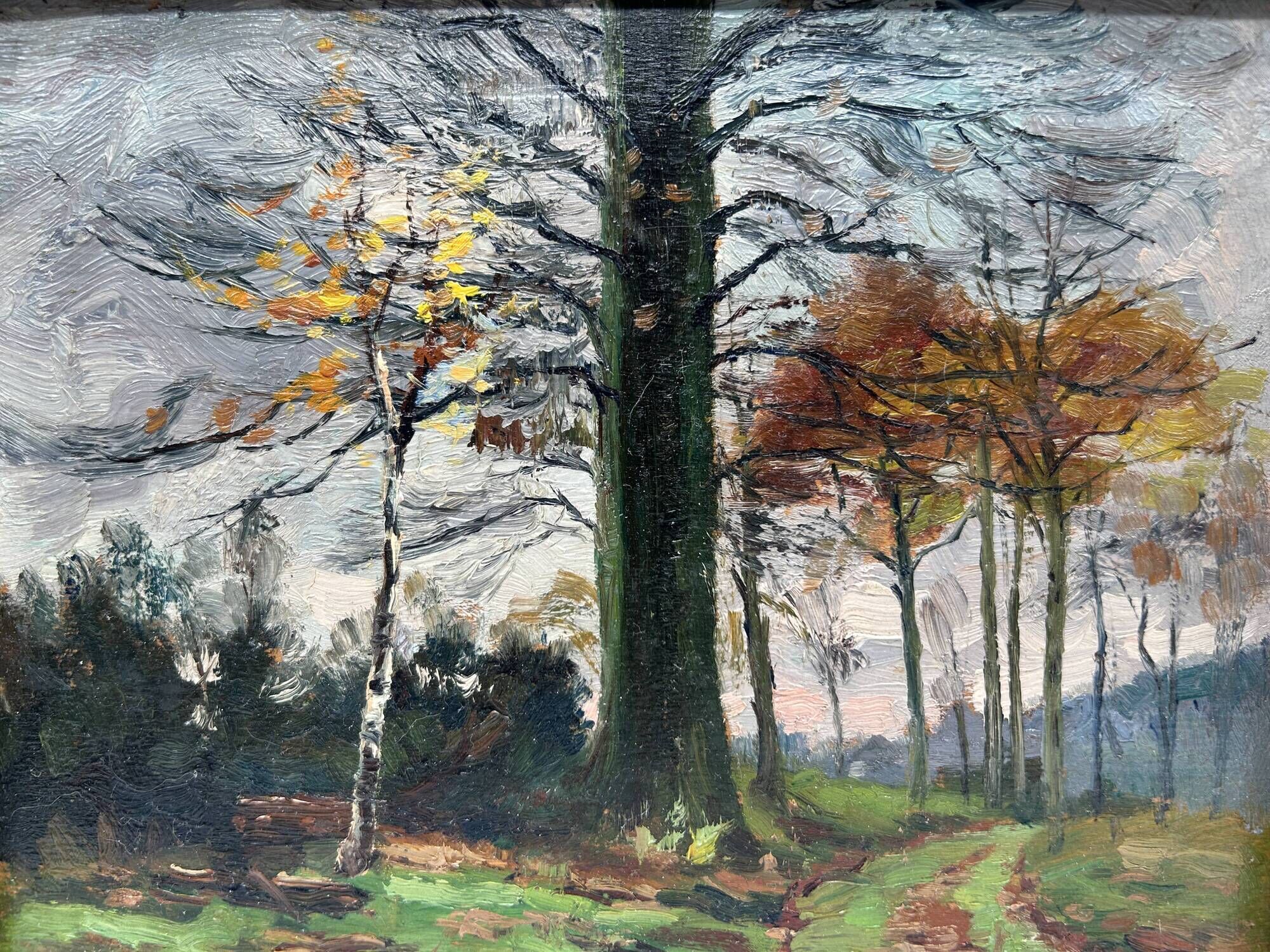 HSP by Edgard d'Hont (1861 - 1941) - the clearing