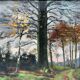 HSP by Edgard d'Hont (1861 - 1941) - the clearing