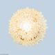 1960s bubble glass wall and ceiling lamp