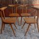 Chaises Stella antilope
