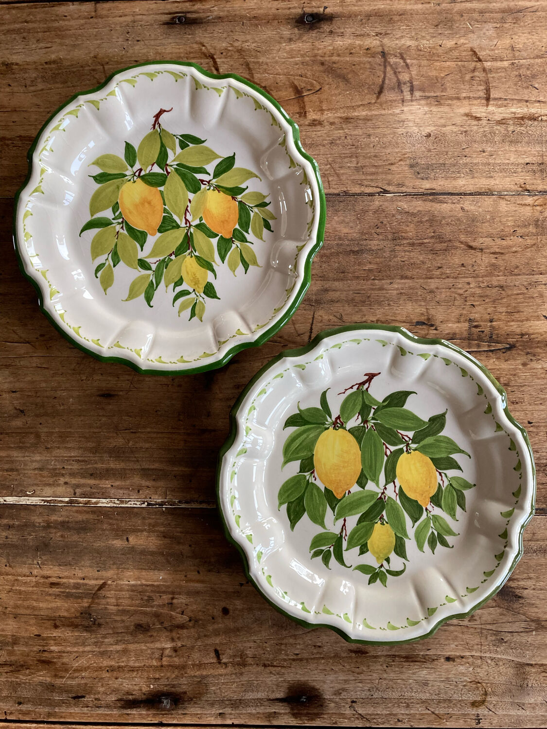 Assiettes citron de menton Perret gentil