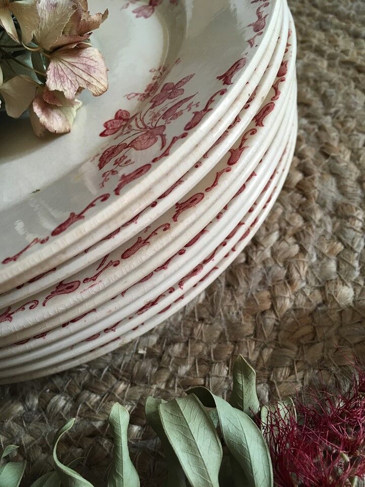 8 flat plates iron earth U&C Sarreguemines Digoin " Margot"