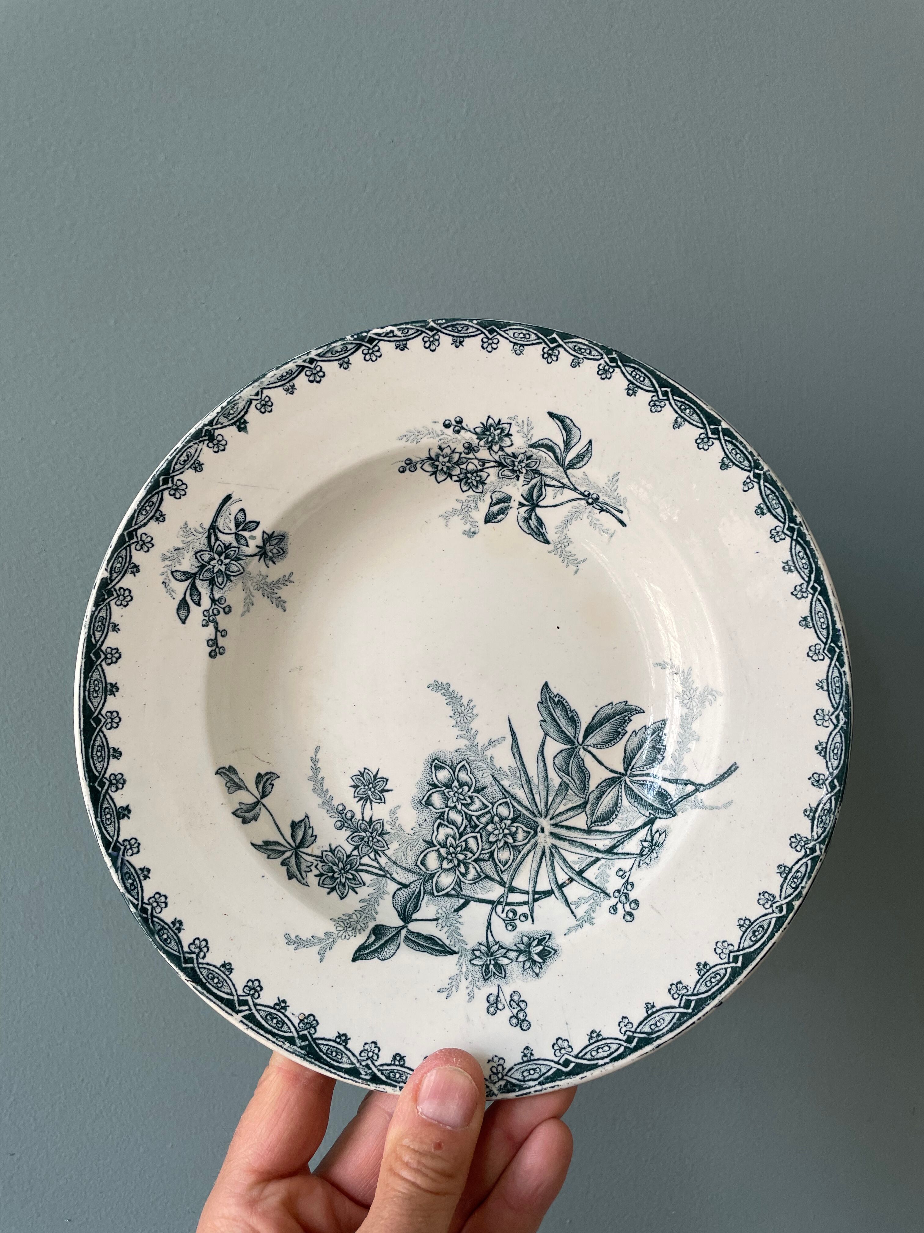 Set of 7 mismatched hollow plates Terre de Fer XIXth