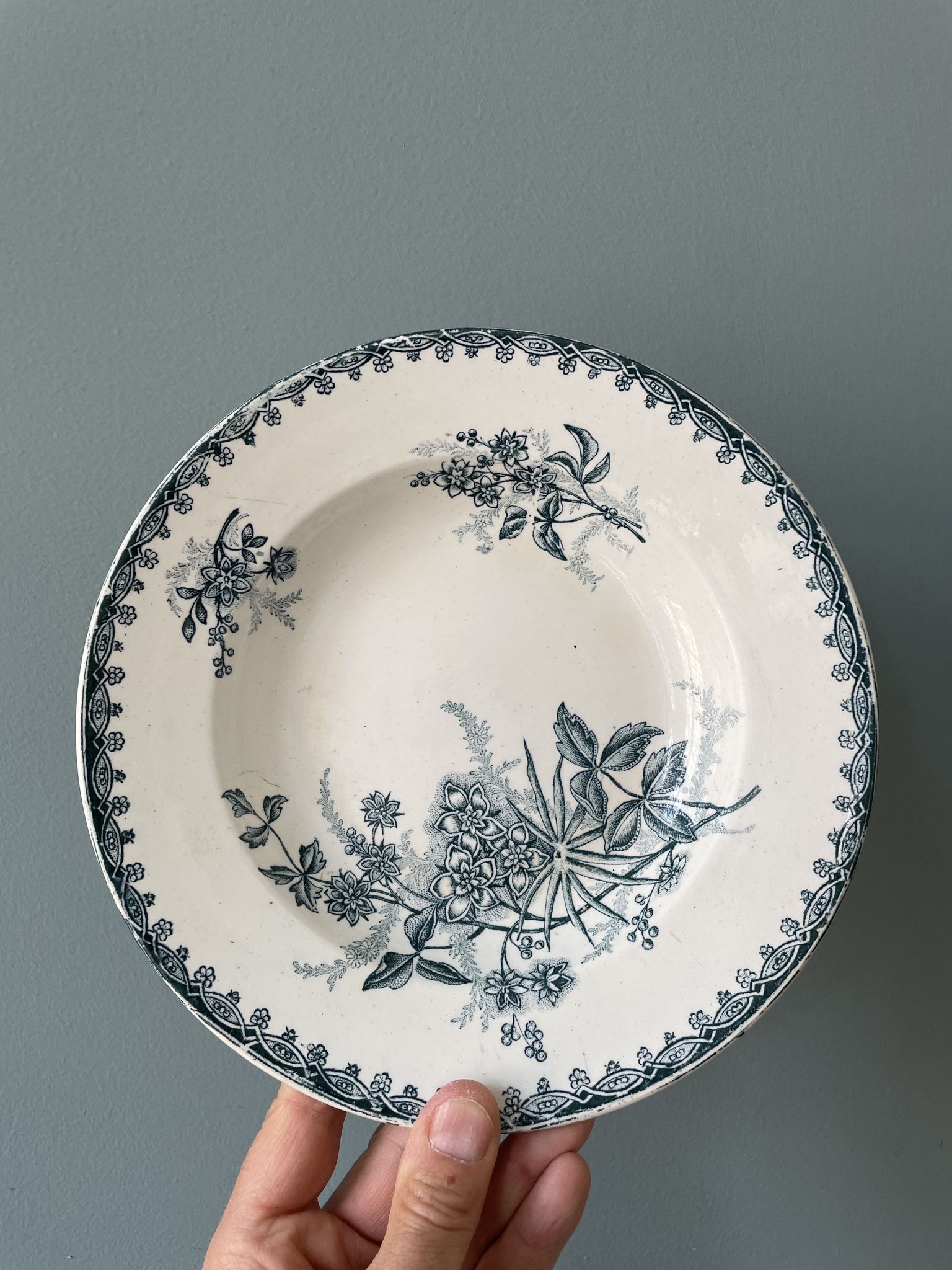 Set of 7 mismatched hollow plates Terre de Fer XIXth
