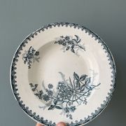 Set of 7 mismatched hollow plates Terre de Fer XIXth
