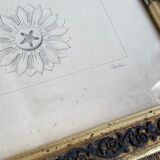 Architectural drawing 1857, glazed wood frame