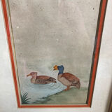 Old painting drawing watercolor duck view + vintage golden frame