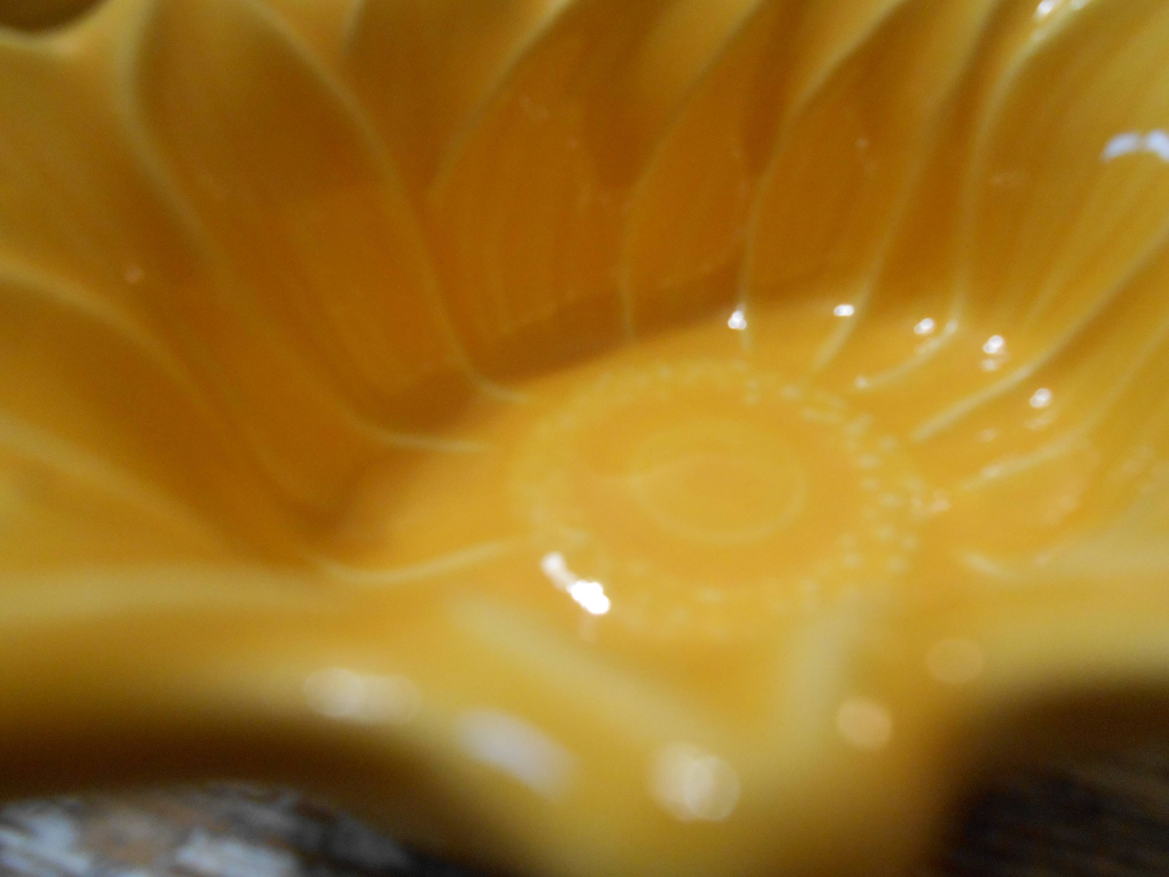 Ramekins sunflower ceramic appolia duo