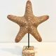 XXL Vintage Natural Starfish on Marble Base Cabinet of Curiosities