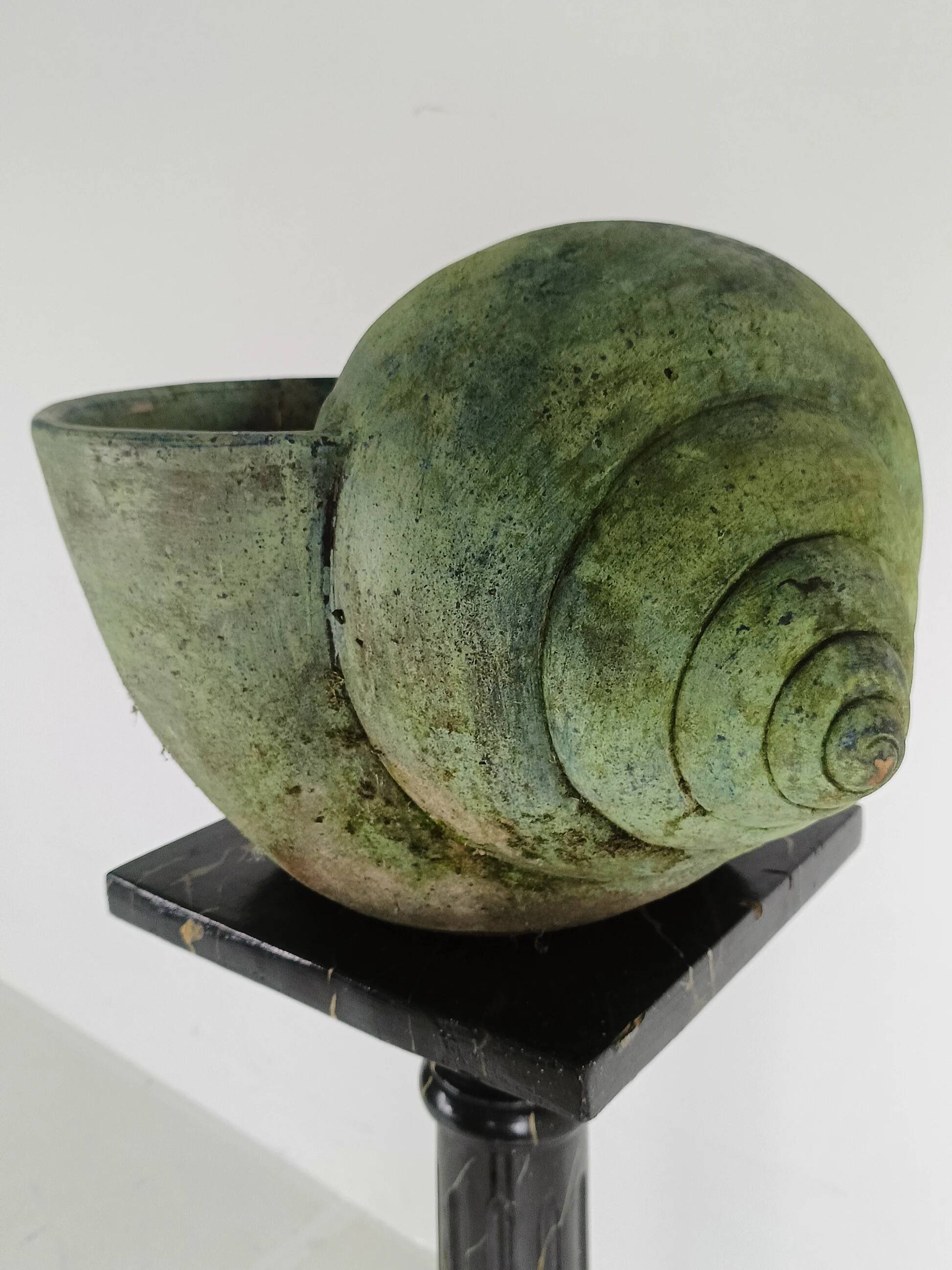Beautiful terracotta cochlea with amazing patina