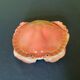 Terrine crab ceramic cake by Michel Caugant