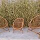 Set de trois fauteuils en rotin.