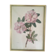 Botanical setting Rhododendron Oreodoxa by Riefel
