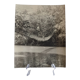 Anonymous silver photo africa gabon lianes bridge circa 1970