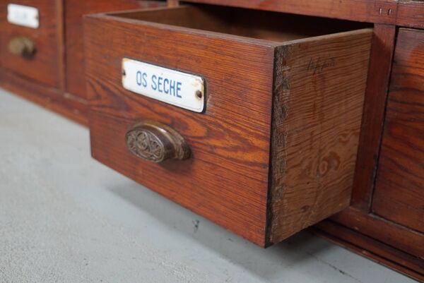 Grand Cabinet d'Apothicaire Antique en Pitch Pine, Belgique, avec Boucliers en Émail, 1900s