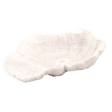 white coral empty pocket shape, cabinet of curiosities, 70s
