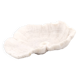 white coral empty pocket shape, cabinet of curiosities, 70s