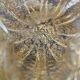 Empty pocket, Murano, Archimedes Seguso, yellow, gold, bubbled, stylized flower-forming, blown glass, Italy