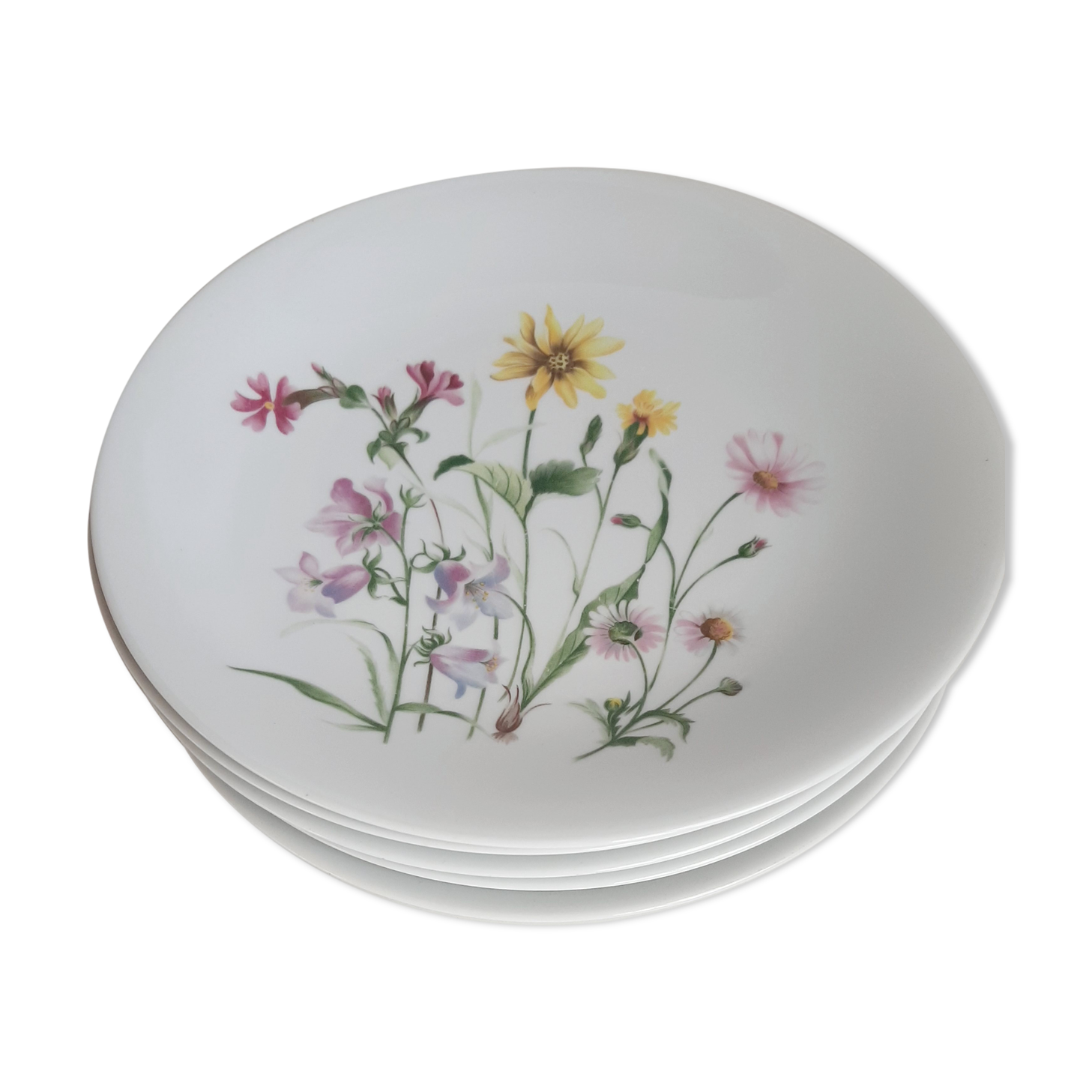 Chauvigny porcelain plates