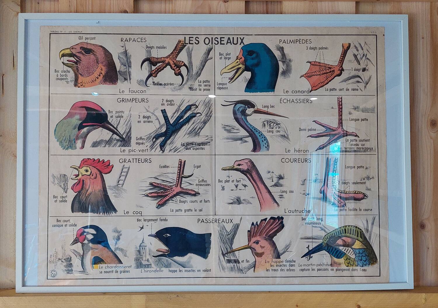 School poster