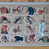 School poster