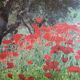 Photo under glass wooden frame "field of poppies"