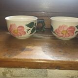 Duo of Villeroy & Boch Cup "Wild rose"