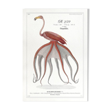 Chimera lithograph animal engraving - the pink flamoulpe