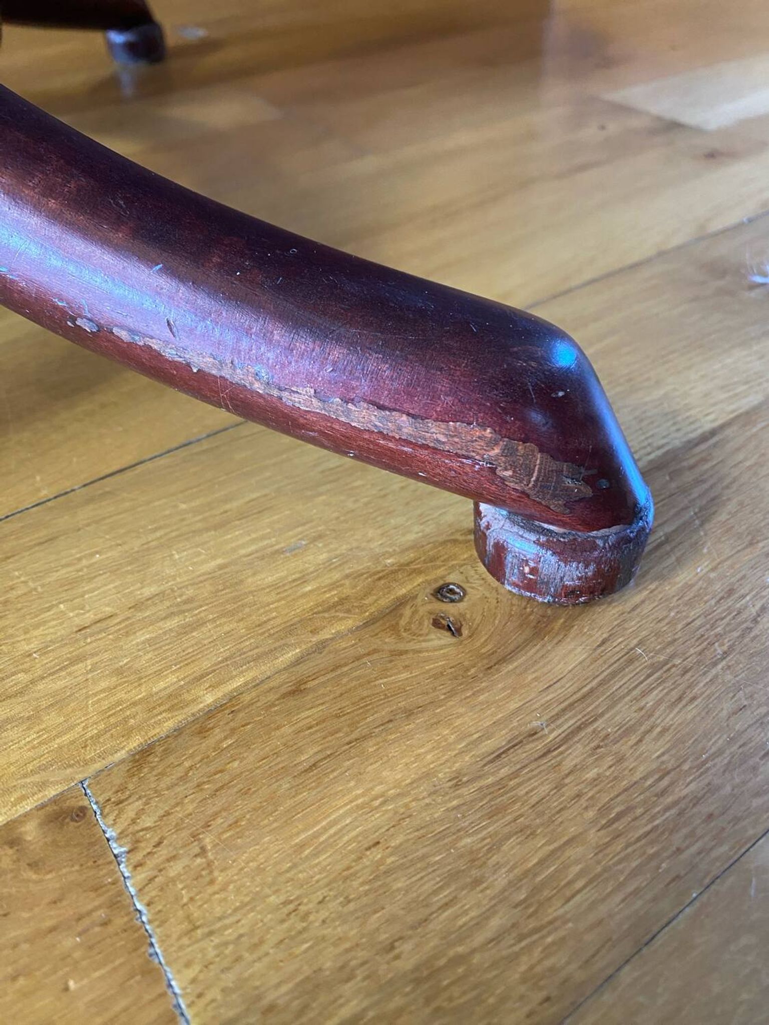 Coat rack on curved wooden stand, Baumann or Thonet style parrot