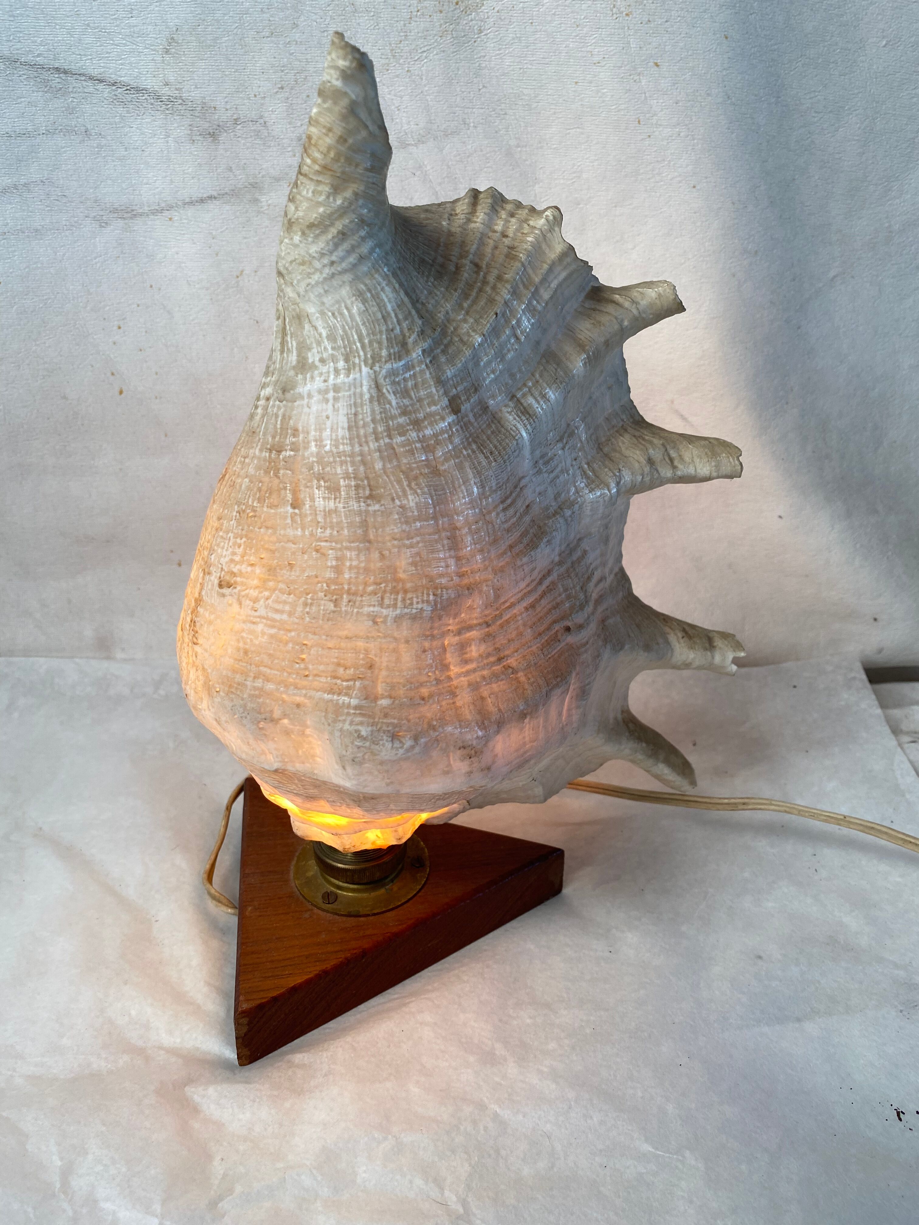 Vintage shell and teak lamp