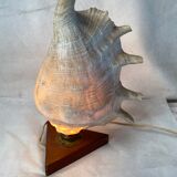 Vintage shell and teak lamp